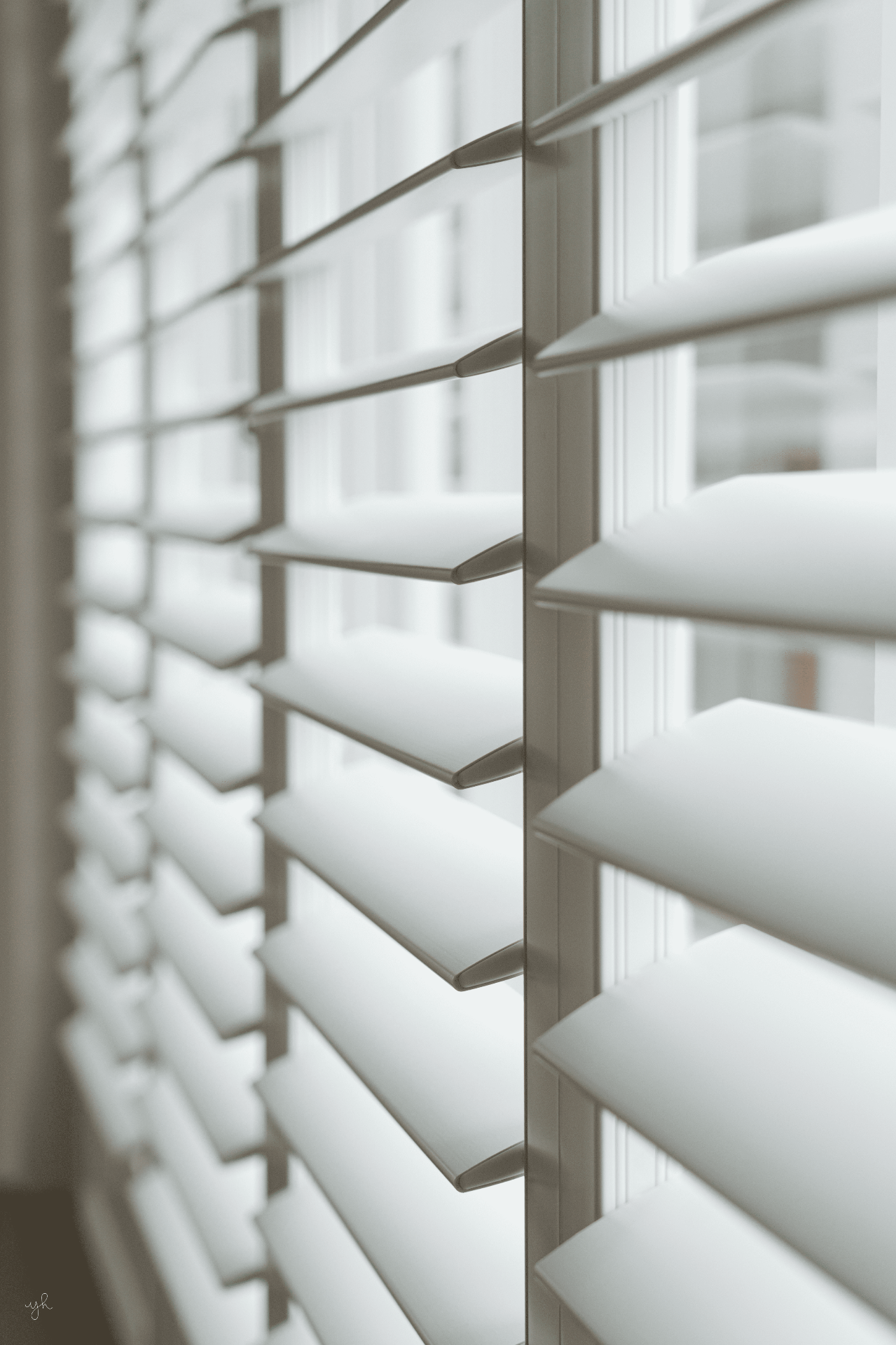 Close-up of white shutter louvres in soft daylight